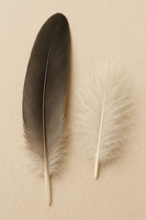 Почему воскомасса иногда плохо удаляет перья: типичные ошибки – как избежать проблем